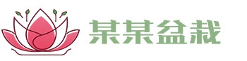 九游会老哥必备的交流社区论坛-FIBA签约合作商j9.com